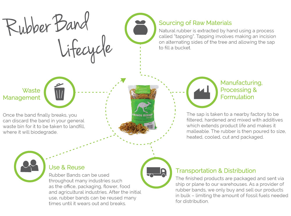Rubber band life cycle diagram